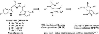 Design, Synthesis, and Apoptosis-Promoting Effect Evaluation of Rhopaladins’ Analog 4-Arylidene-5-Oxopyrrolidine Derivatives